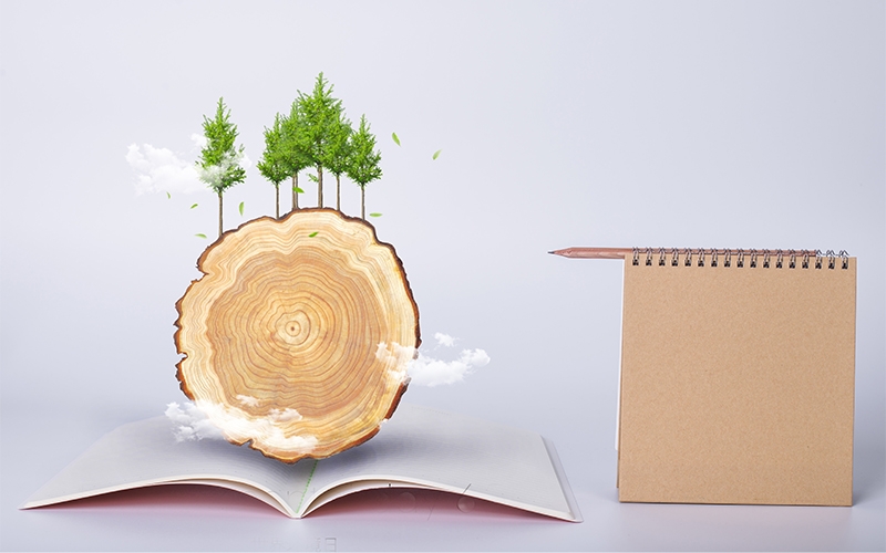 關(guān)于紙的知識(shí)，你平時(shí)知多少